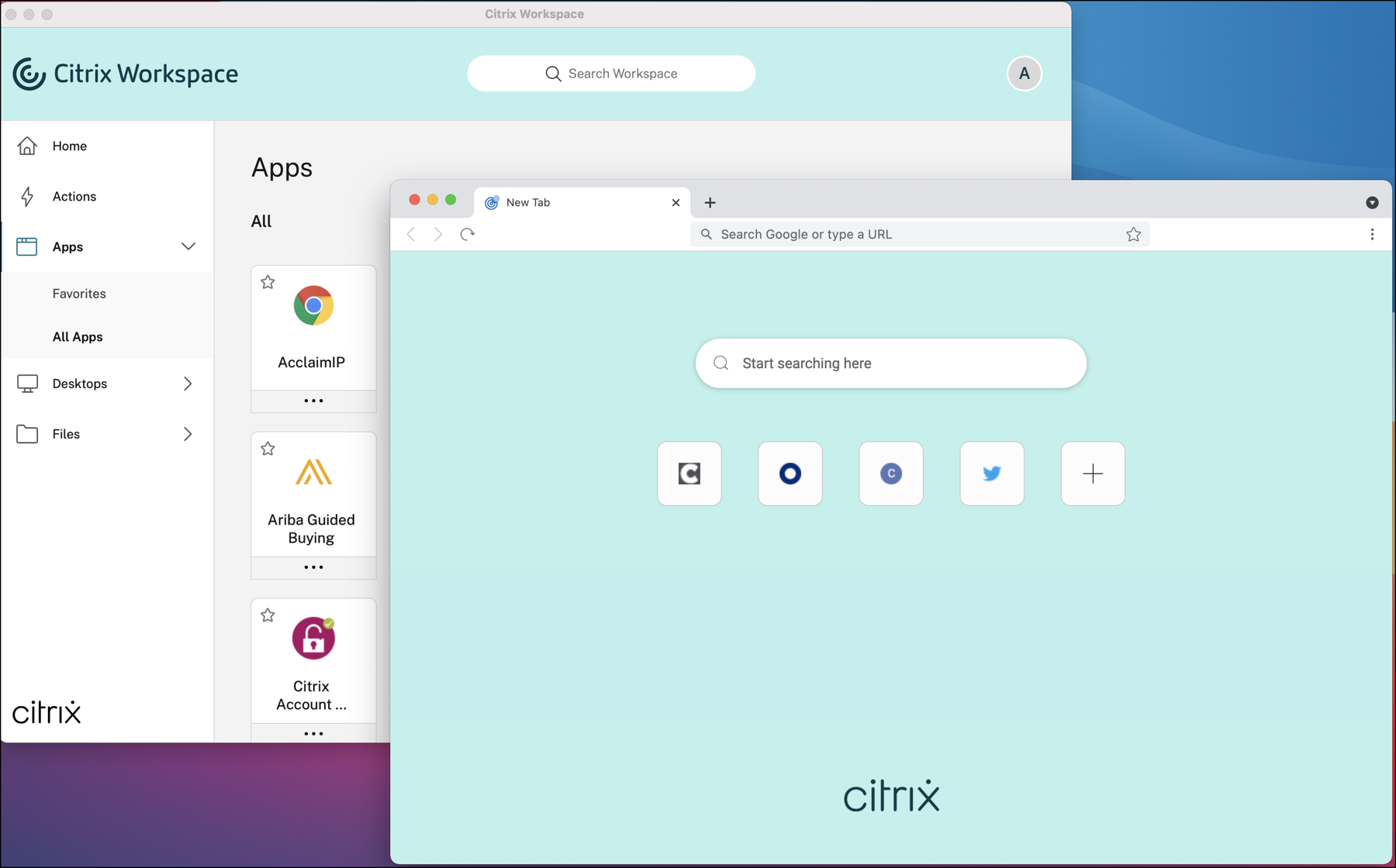 Fenêtre Citrix Enterprise Browser sous macOS