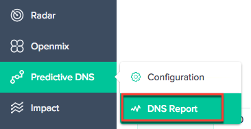 Navigation für DNS-Berichte