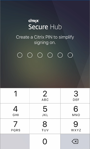 Image of the PIN prompt