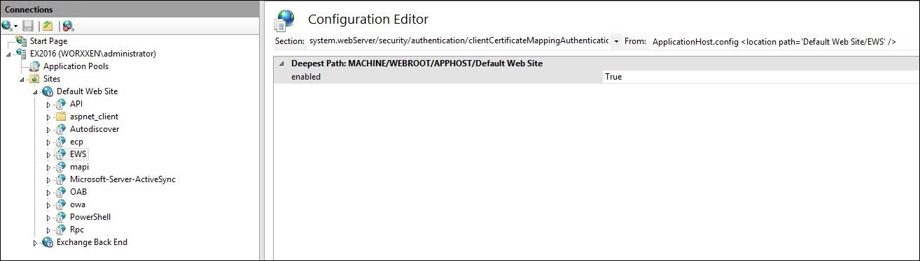 Image of IIS Manager Console