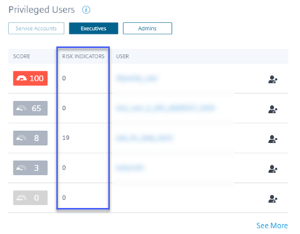 Privileged users pane
