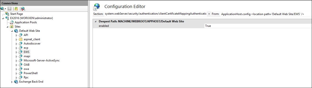 IIS Manager Console