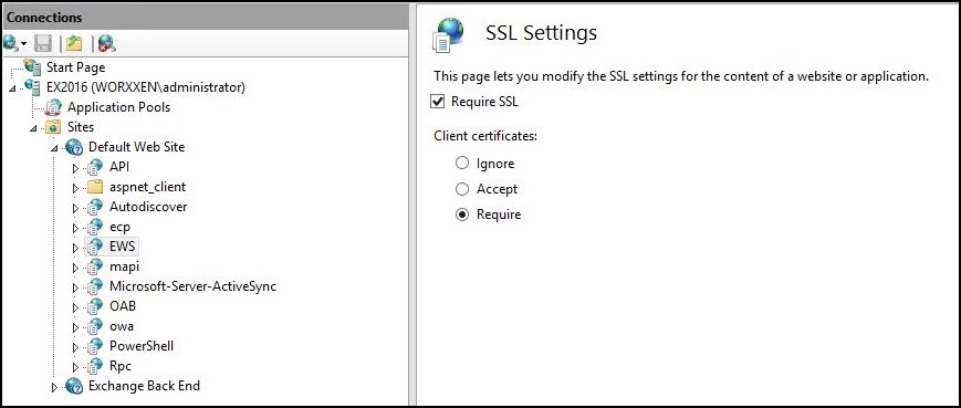 IIS Manager Console
