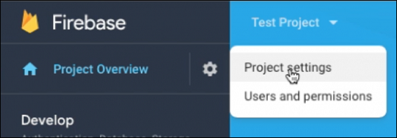 The Project settings option