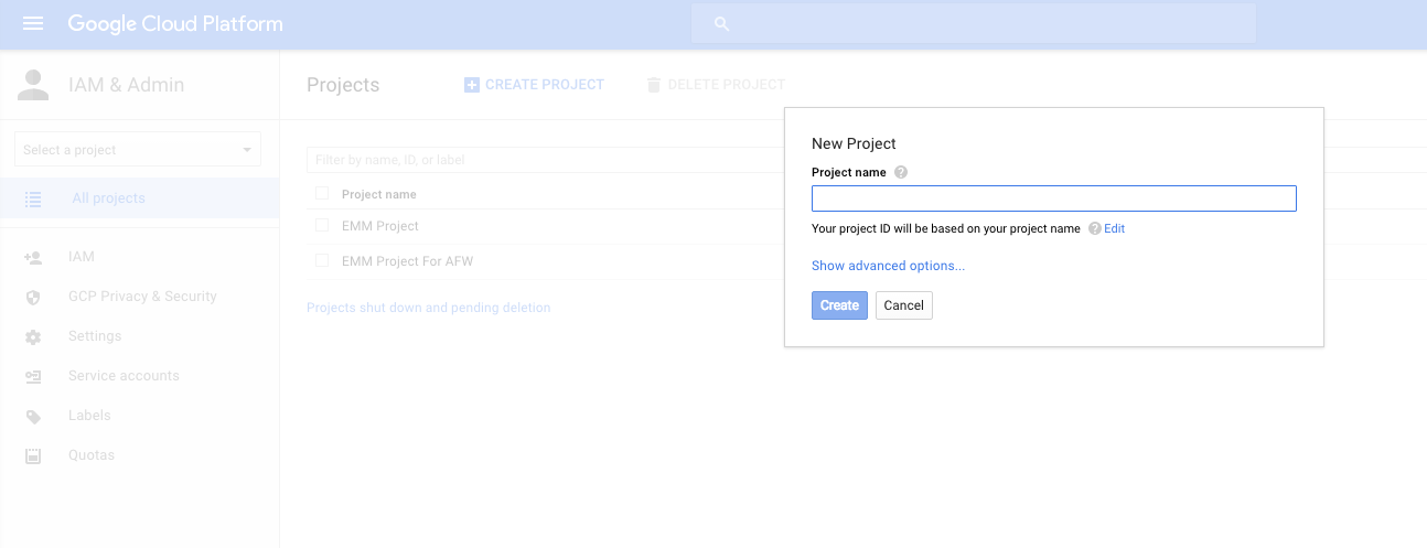 The Project name option
