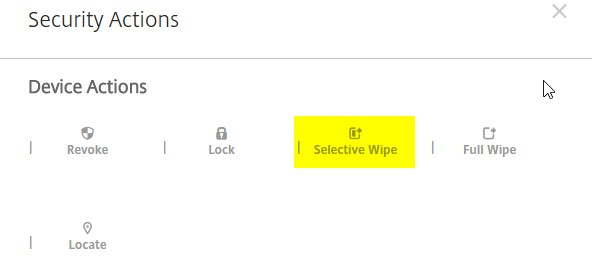 The Selective Wipe option