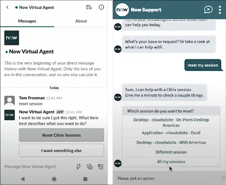 ServiceNow Service Management Portal
