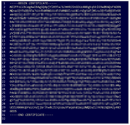 Sample certificate