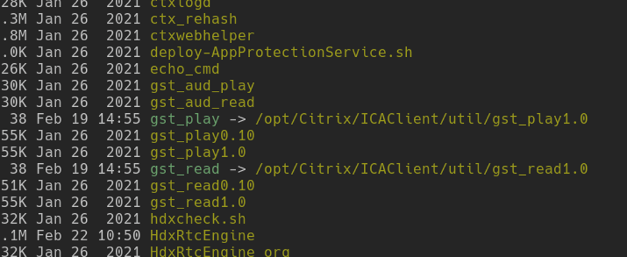 Image of gst_read symlink