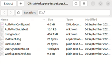 Save logs file explorer
