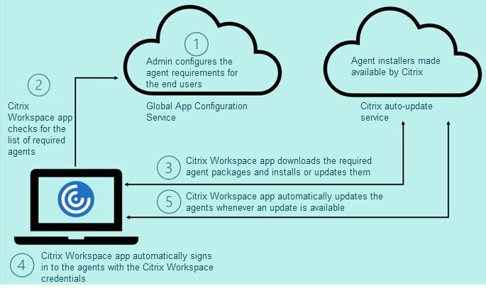 Plug-in management