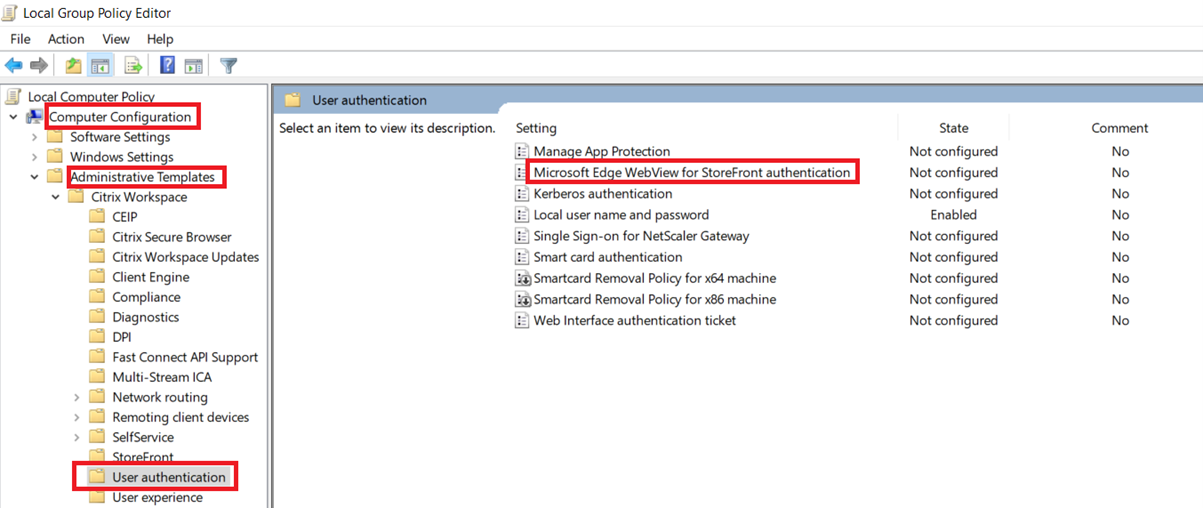 Microsoft Edge WebView for StoreFront authentication policy