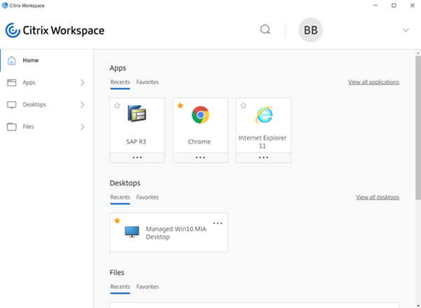 Citrix Self-Service Store window - protected