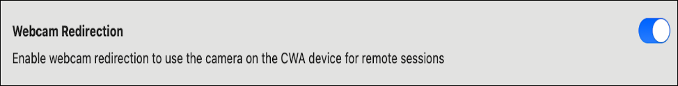 webcam-troubleshoot