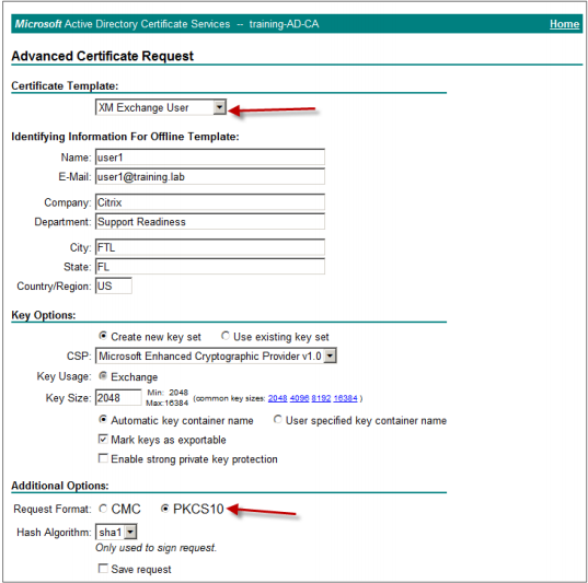 Image of the new template option