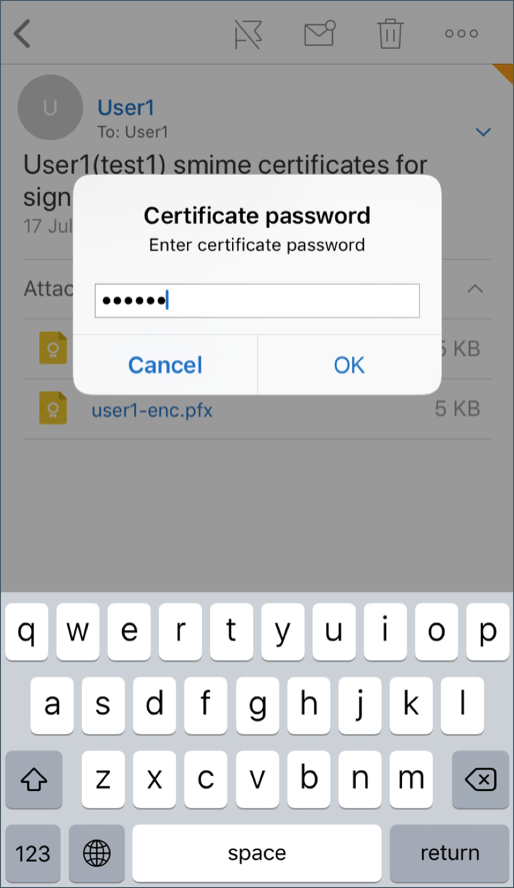 Image of the password prompt