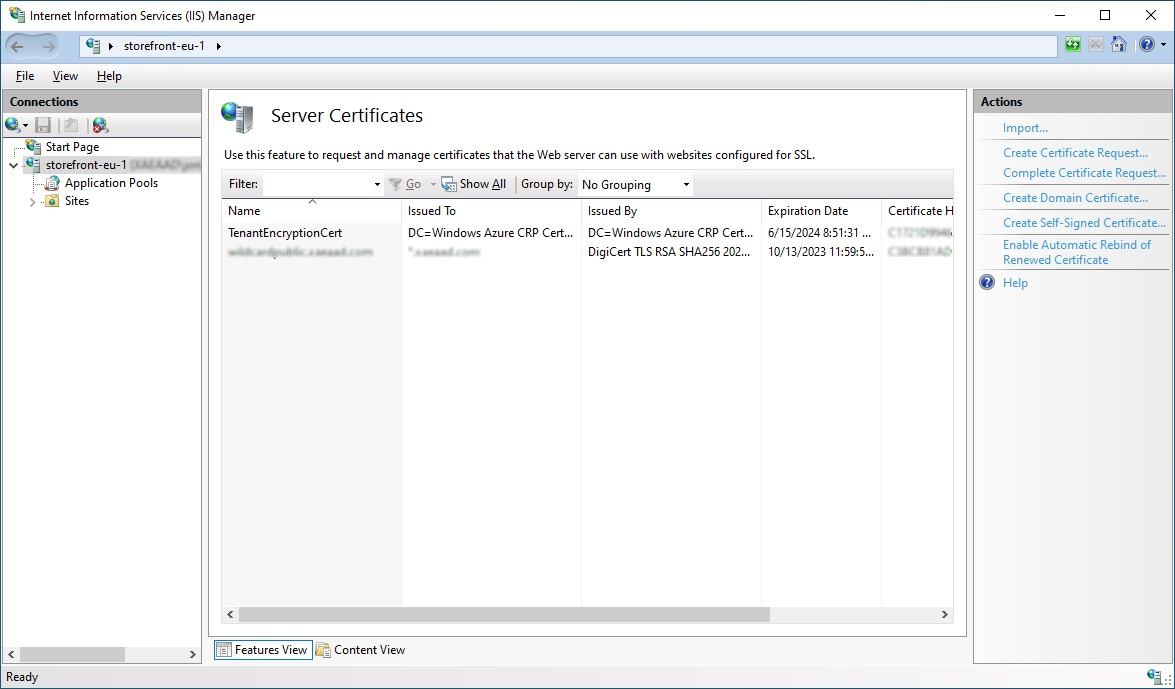 Screenshot of IIS management server certificates screen