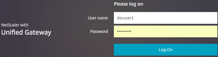 Screenshot of logon screen