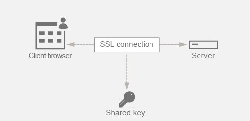 SSL PFS-1