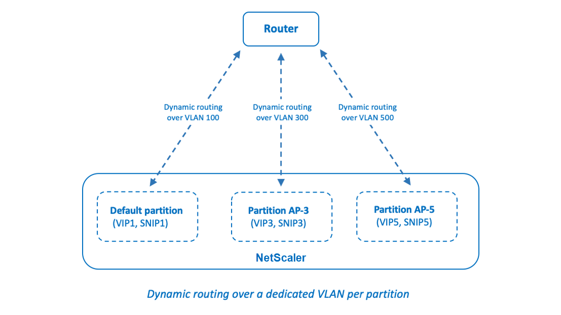 Dynamic routing over a dedicated VLAN per partition