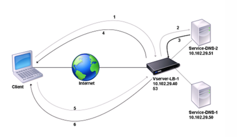 NetScaler 作为 DNS 代理