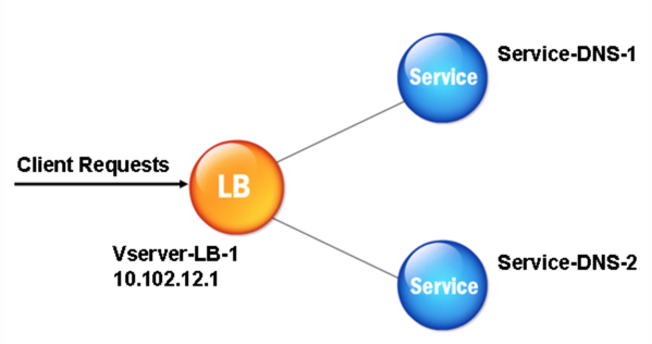 Modelo de entidad proxy DNS