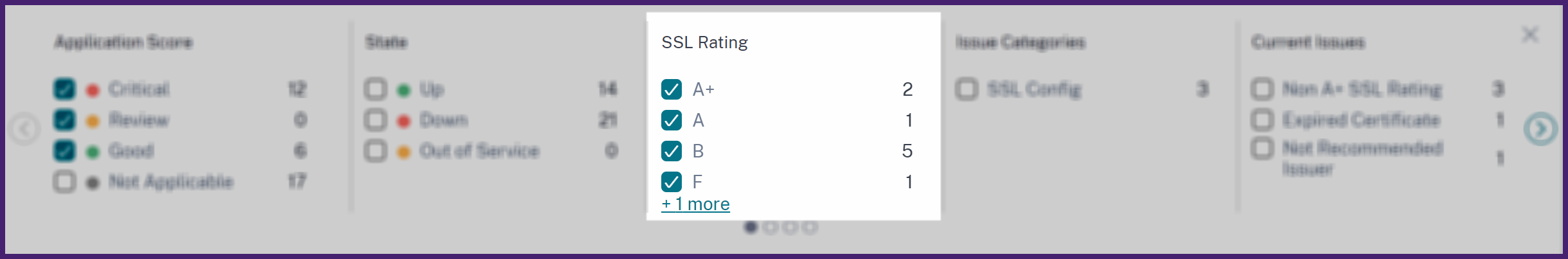 按 SSL 评级筛选应用程序