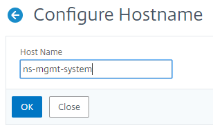 Assign host name