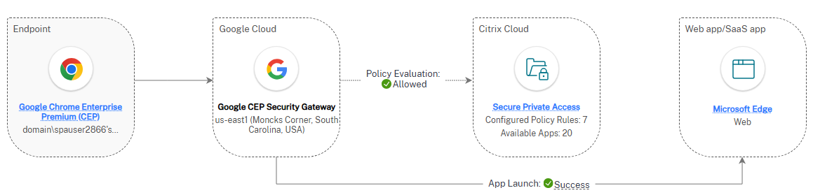 Chrome Enterprise Premium cloud deployment, external fixed IP route