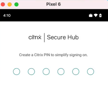 Citrix Secure Hub pin