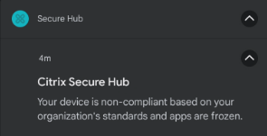 Citrix secure hub