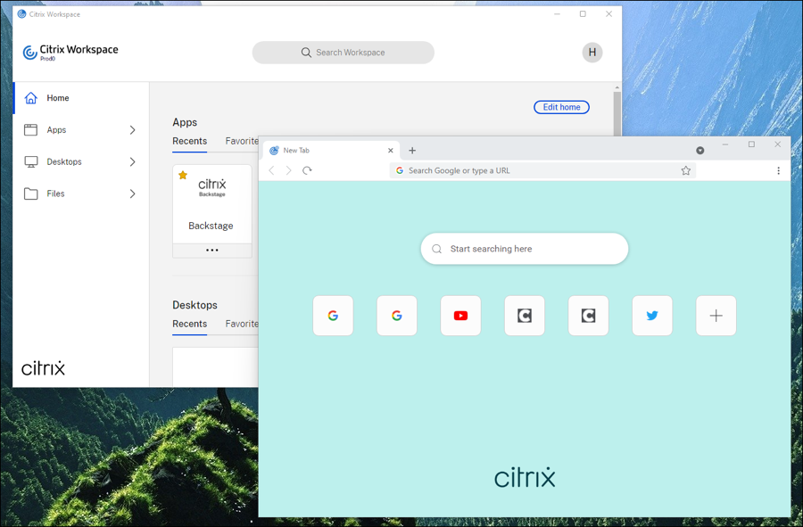 Windows OS の Citrix Enterprise Browser ウィンドウ