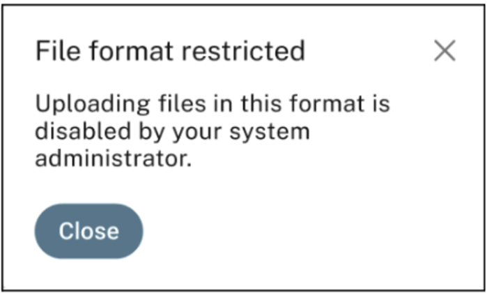 File format restricted-upload
