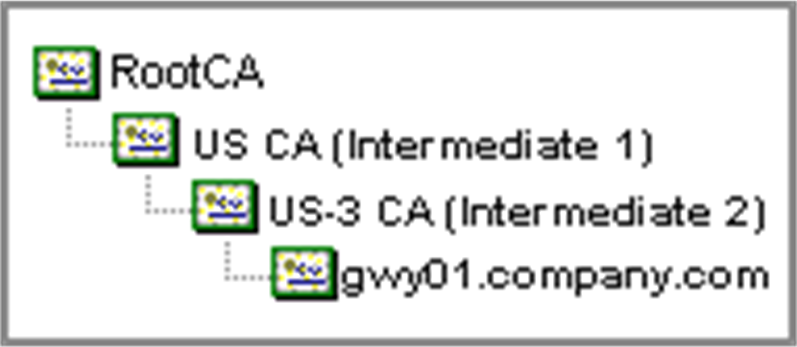 显示典型的数字证书链。