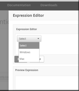 Expression editor