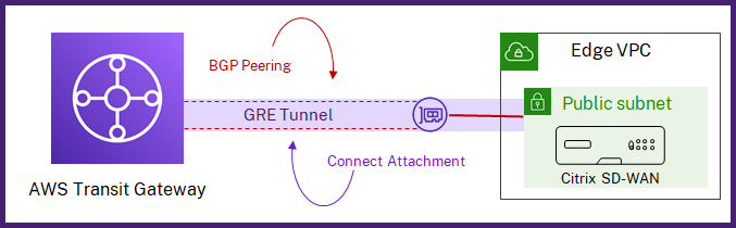AWS Transit Gateway Connect attachment