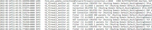 IPv6 NAT log details