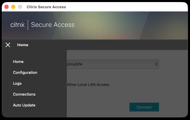 Citrix Secure Access home page