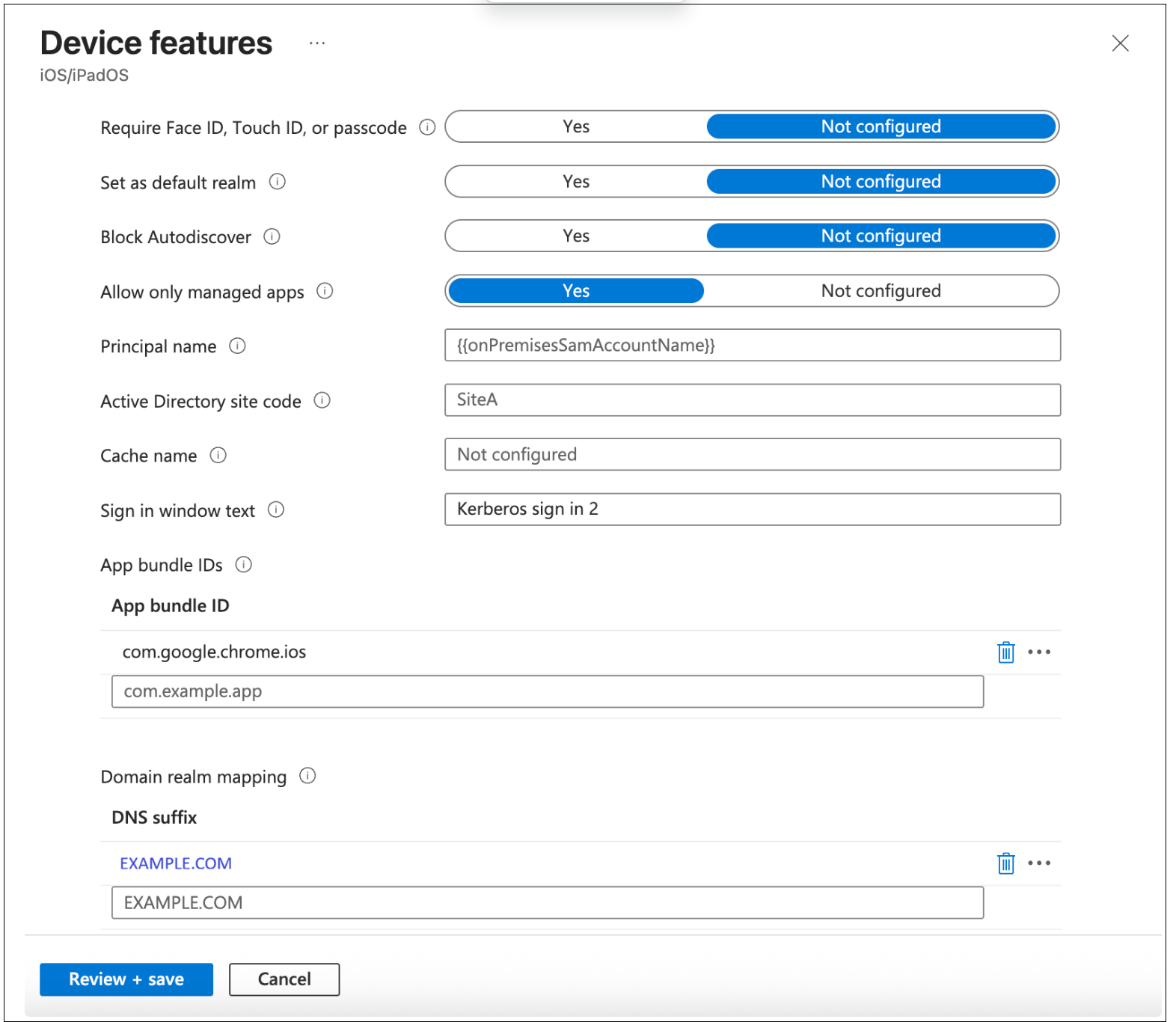 Intune policy device features2