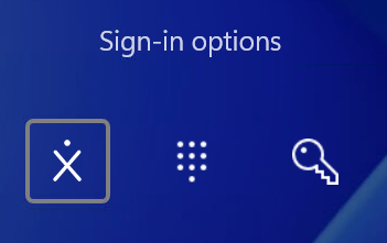 Windows logon options