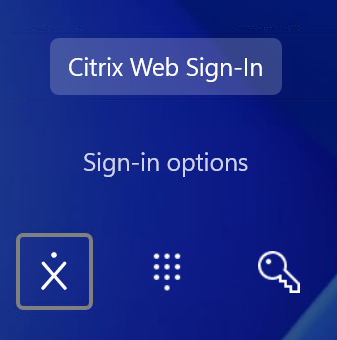 Web sign-in button