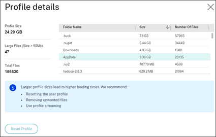 citrix profilverwaltung