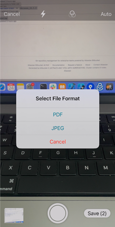 Select file format