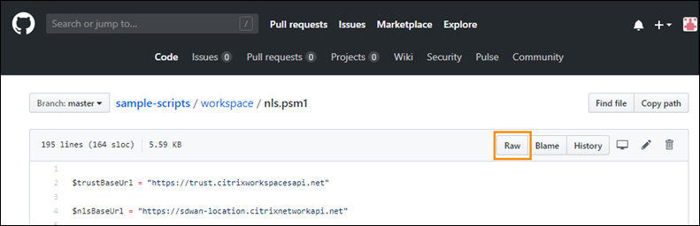 GitHub file view with Raw button highlighted