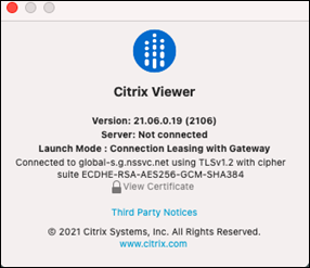 Citrix Viewer window