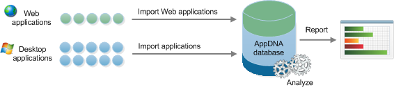 AppDNA process overview