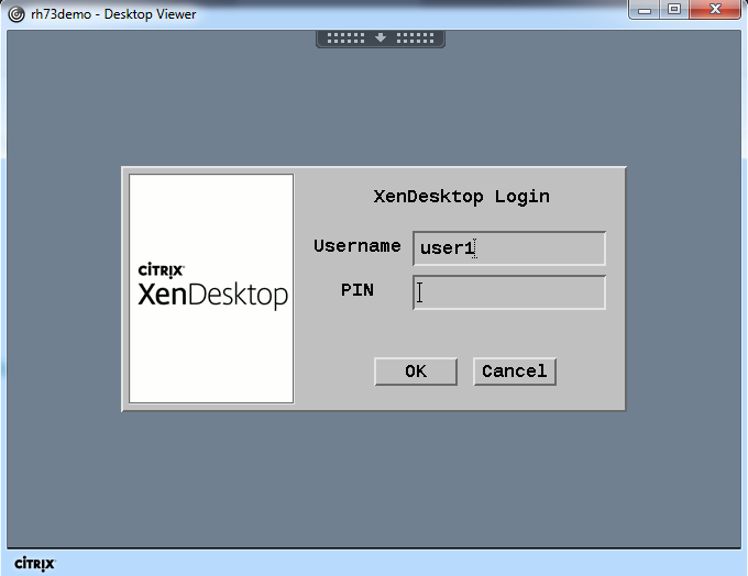 Image of XenDesktop login