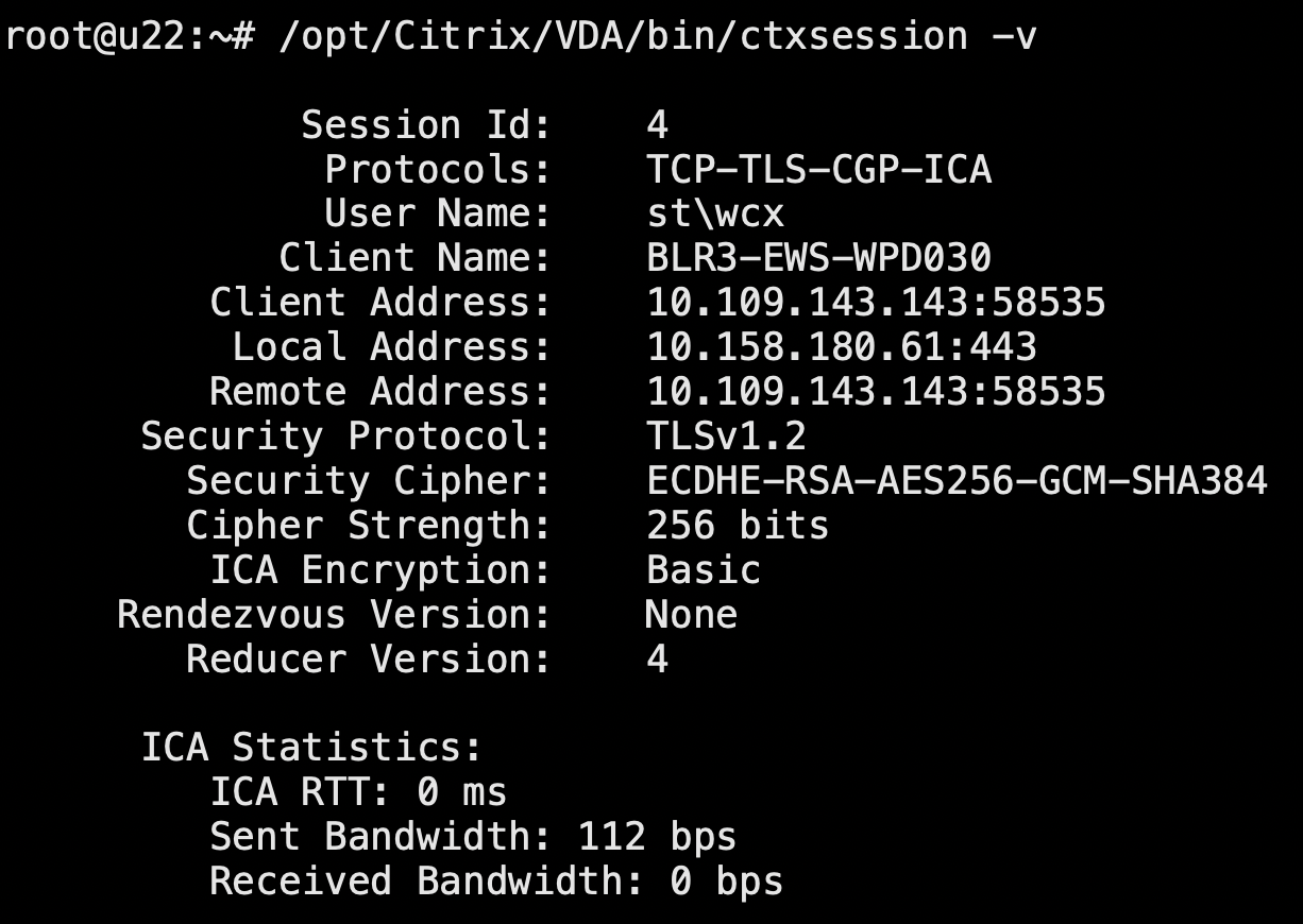 Query session metrics through **ctxsession**