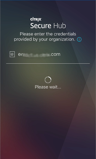 Image of the credentials prompt