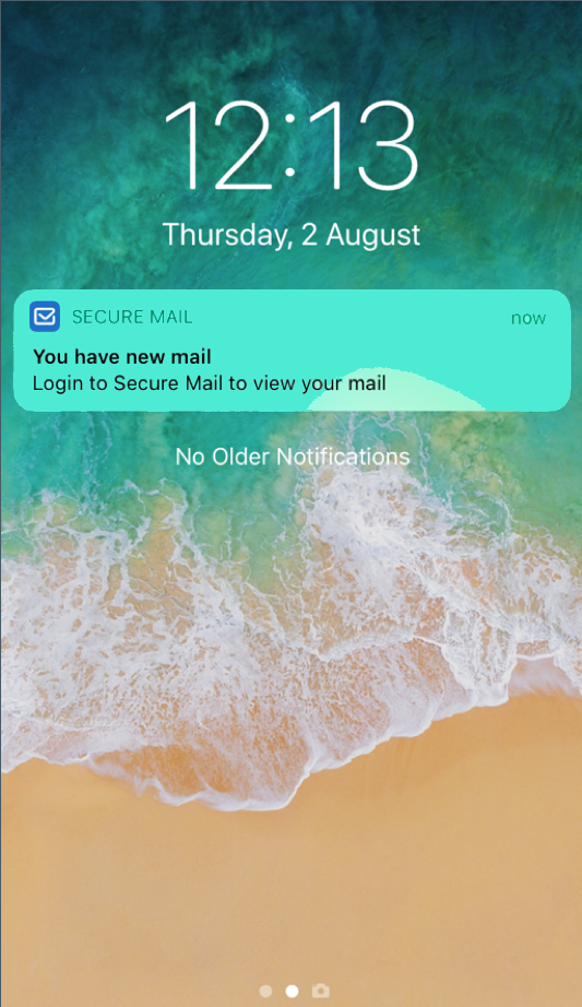 Imagen del mensaje de notificación de correo